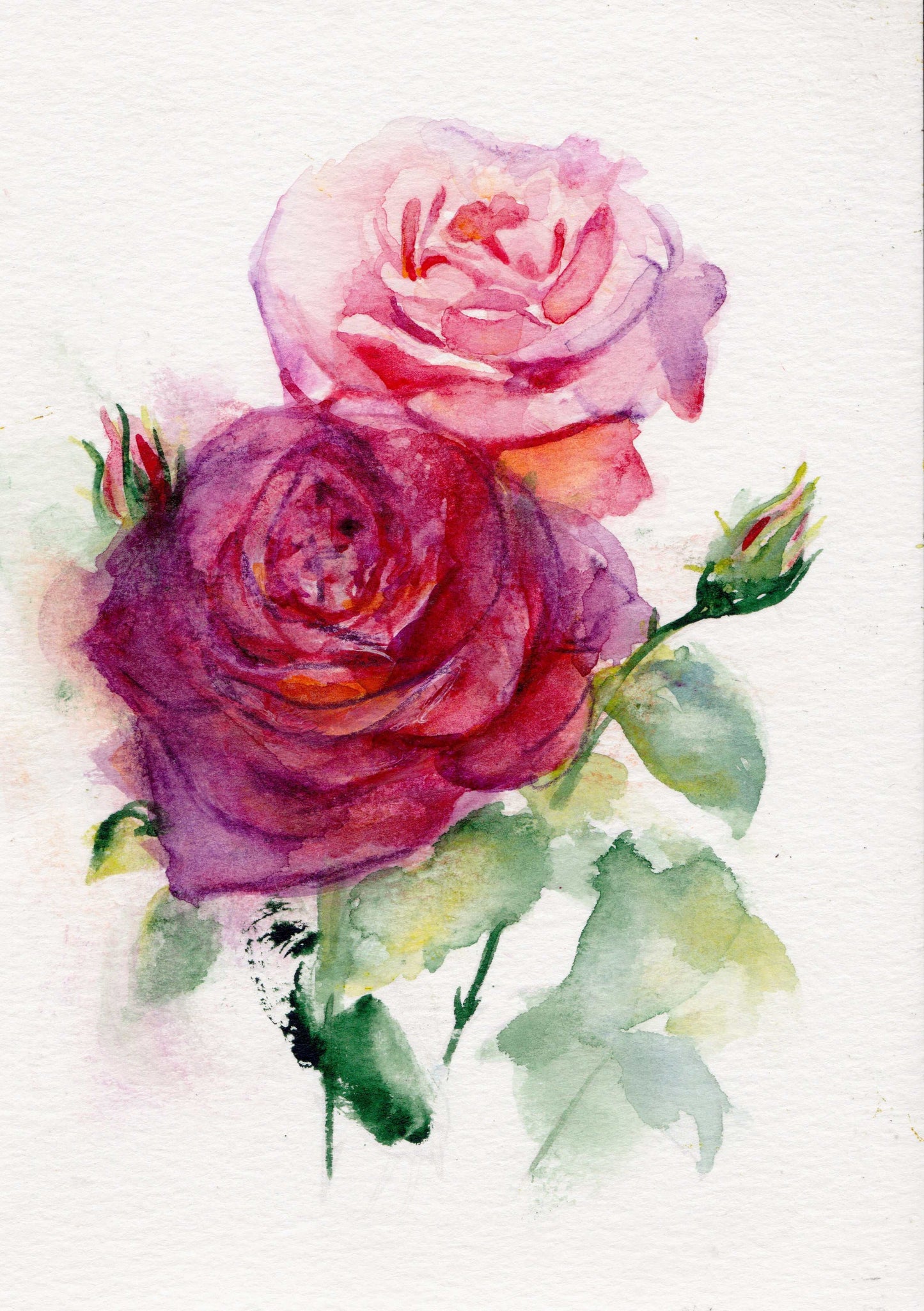 Rose June birth flower art print depicting vibrant blooming roses on archival-quality paper or matte cotton canvas