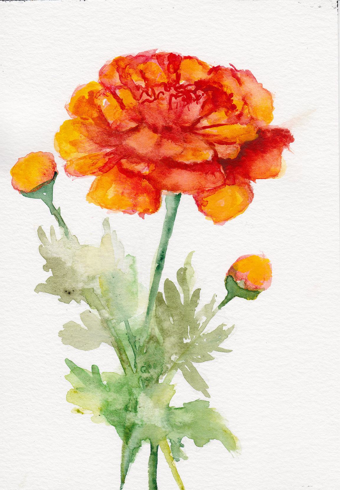 Marigold October Birth Flower Art Print bright floral wall decor