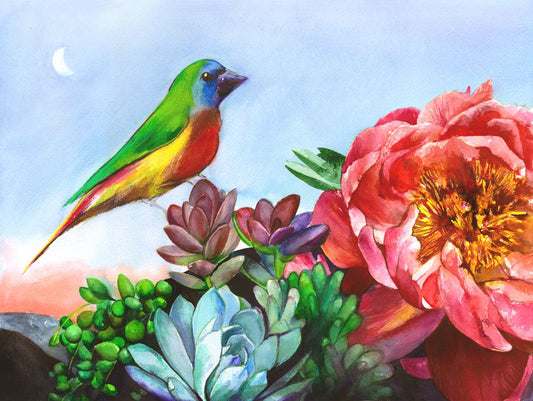 Colorful parrot finch perched among desert garden flowers in vibrant premium art print
